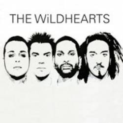 The Wildhearts : The Wildhearts